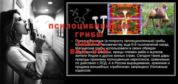 крисы Нязепетровск