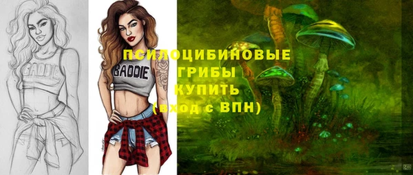 spice Нягань