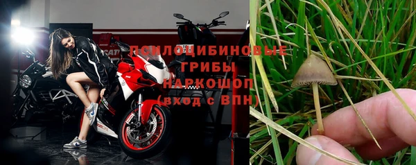 spice Нягань