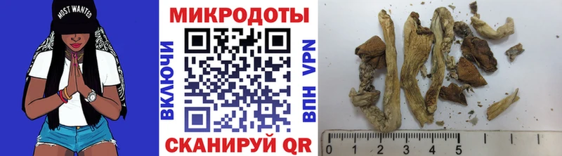 Псилоцибиновые грибы ЛСД  Кедровый 